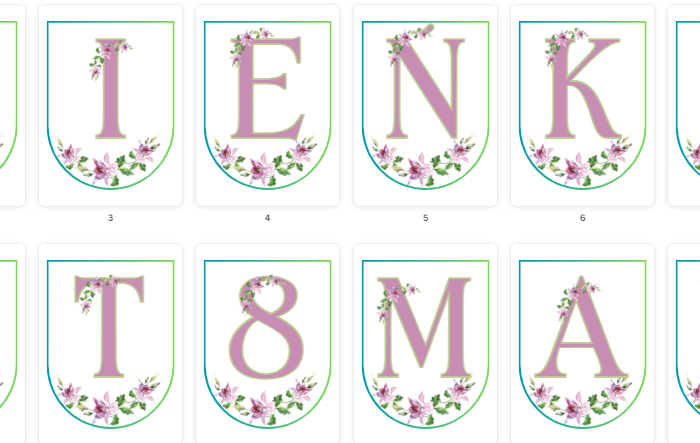 NAPIS DZIEŃ DZIEŃ KOBIET