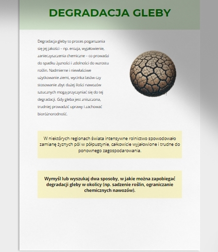 Mini słownik pojęć ekologicznych (ekosystem, bioróżnorodność, recykling i wiele innych)