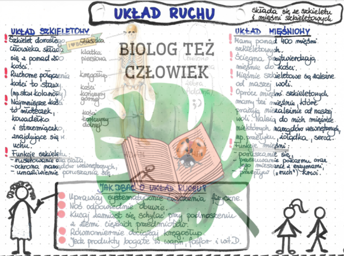 PRZYRODA - Ciało człowieka - Układ ruchu (układ szkieletowy i mięśniowy) - kolor