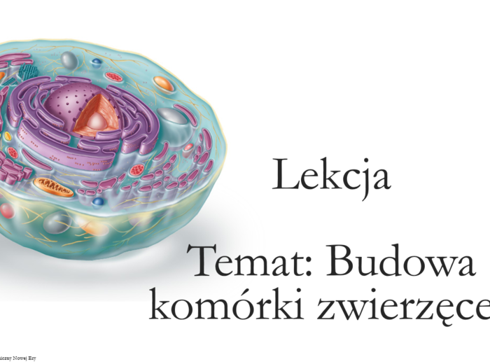 Budowa komórki zwierzęcej - klasa 5 - scenariusz