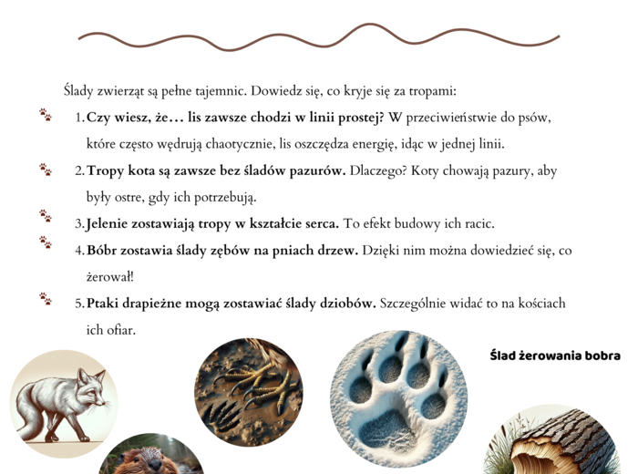 Mini-przewodnik do rozpoznawania śladów zwierząt