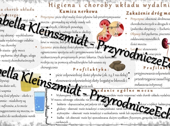 Sketchnotka - notatka „Higiena i choroby układu wydalniczego” wykonana w power point do edycji. Biologia 7; „Układ wydalniczy”