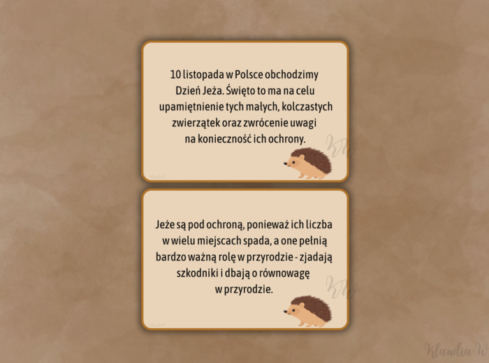 DZIEŃ JEŻA - ZESTAW