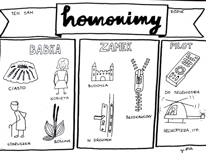 Język polski. Homonimy i homofony