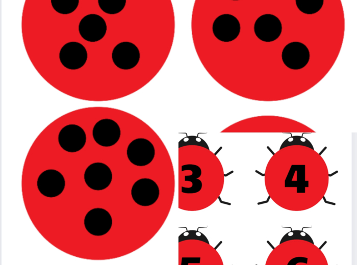 Matematyczne biedronki