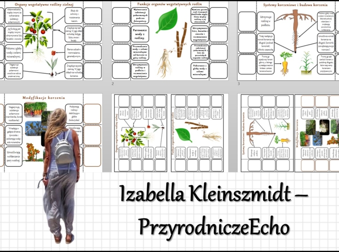 Notatka okienkowa „Budowa korzenia”, „Organy wegetatywne rośliny zielnej”, „Modyfikacje korzenia” , "Korzeń - organ podziemny rośliny" w pdf. Biologia 5 dział „Tkanki i organy roślinne”.