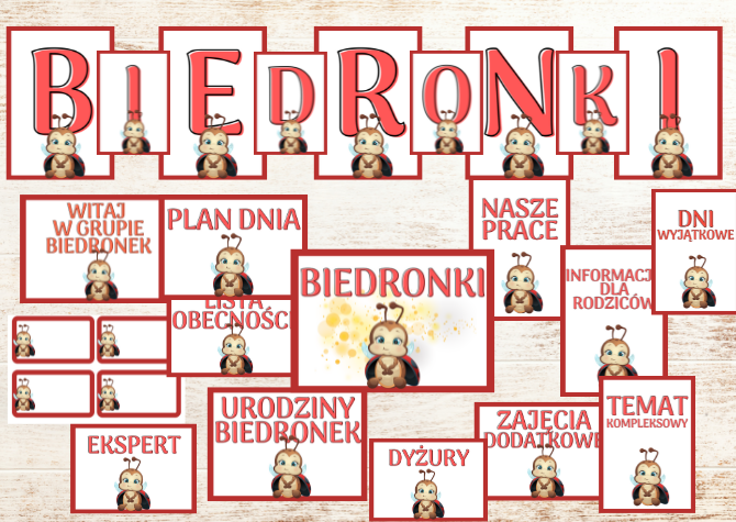 Grupa Biedronki