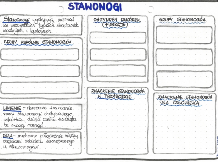 Stawonogi - klasa 6 - kolor