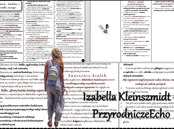 Książeczka/sketchnotka/notatka/wklejka/streszczenie dla ucznia i przypomnienie dla nauczyciela/edukacja domowa/materiał w pigułce. Temat „Pokarm – budulec i źródło energii” w pdf. Biologia 7, dział „Układ pokarmowy”. Nowość 2024/2025.