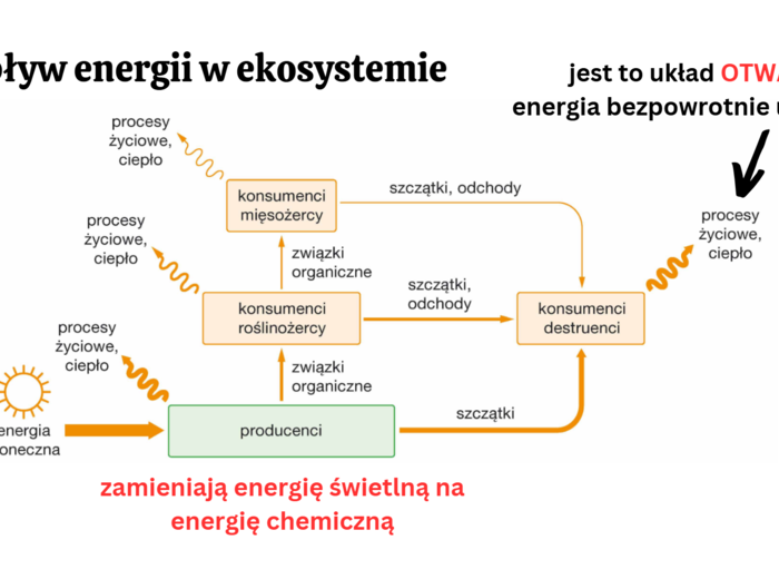 ekologia i różnorodność biologiczna KLASA 4 RZOSZERZENIE BIOLOGIA