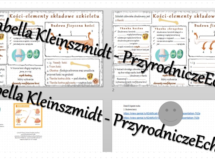 Minizestaw na temat „„Budowa kości” – sketchnotka + karta pracy w power point + gratisowy link do prezentacji multimedialnej niekomercyjnej wykonanej w genial.ly do indywidualnego pobrania i użycia do celów niekomercyjnych. Biologia 7, „Układ ruchu”