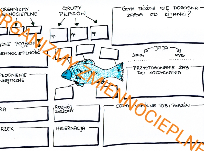 ORGANIZMY ZMIENNOCIEPLNE