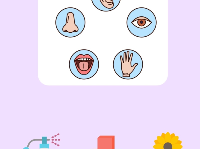 Akademia Pięciu Zmysłów – Wielki Pakiet Edukacyjny (23 strony)