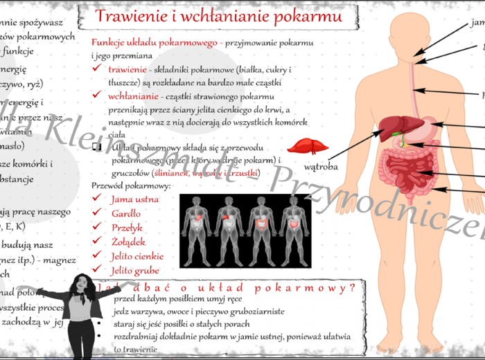 Sketchnotka „Trawienie i wchłanianie pokarmu” w power point do edycji, PRZYRODA do klasy 4 – dział IV „Odkrywamy tajemnice ciała człowieka”