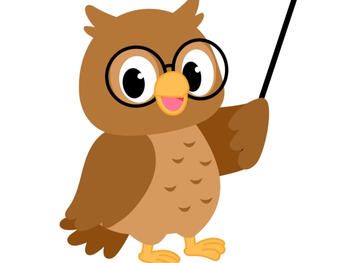 Czytanie ze zrozumieniem – prawda czy fałsz