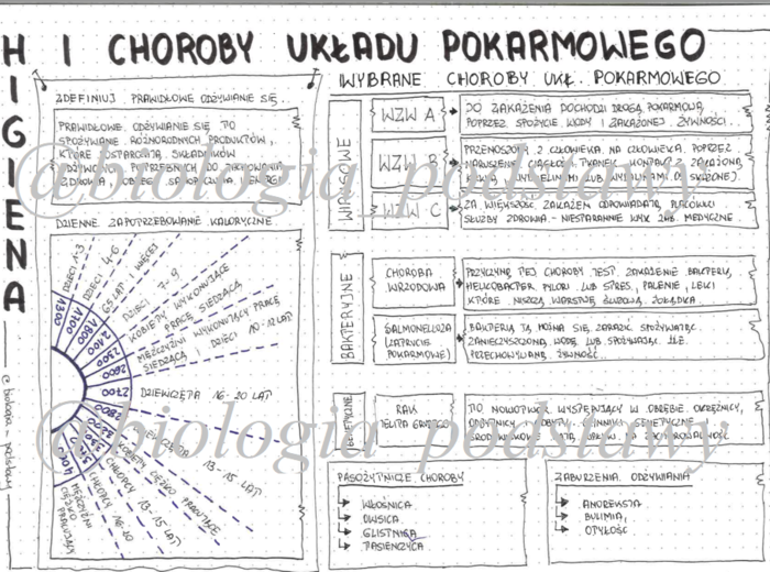 Klasa 7 - Higiena i choroby układu pokarmowego- sketchnotka