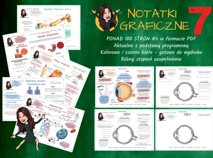 Notatki graficzne BIOLOGIA klasa 7 szkoła podstawowa
