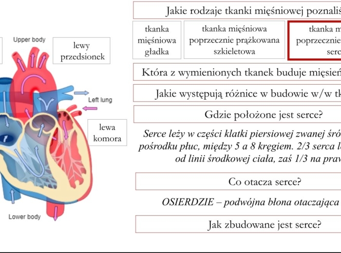 Jak uczyć biologii kreatywnie? Sketchnotki, eksperymenty i odkrywcze lekcje – webinar Anety Górzyńskiej