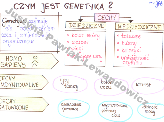 Czym jest genetyka? (sketchnotka)