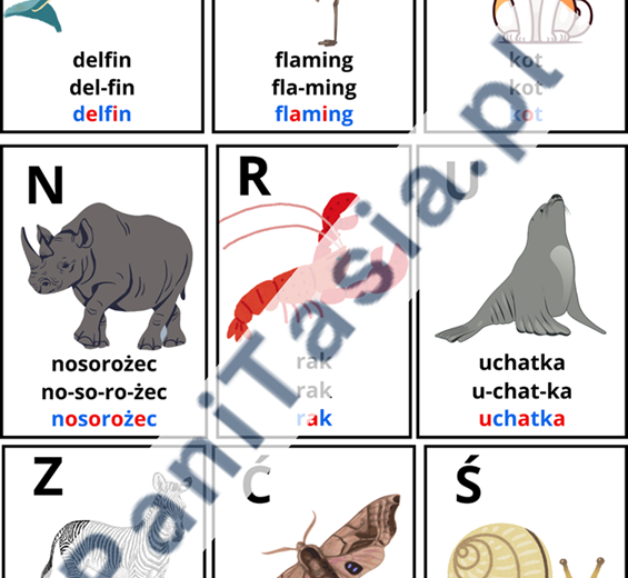 Alfabet zwierzęta na tablicę