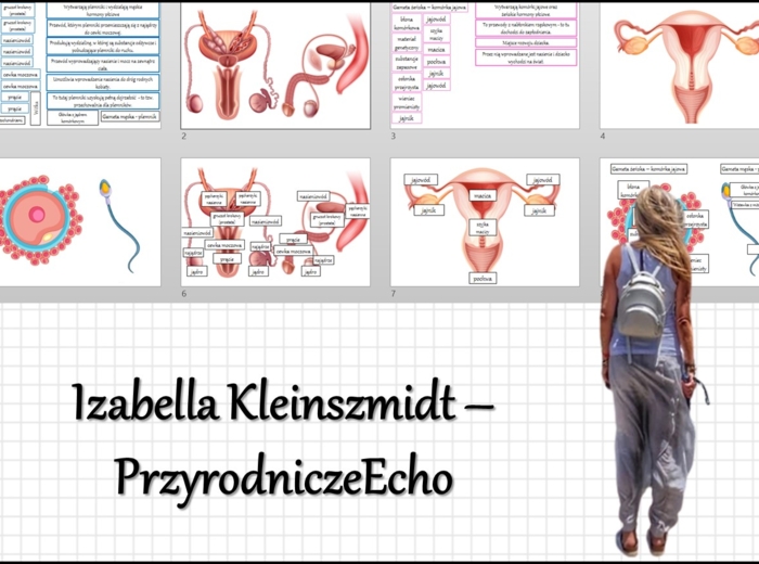 Materiał do zalaminowania/praca w grupach/stacje zadaniowe/układanka/puzzle. „Budowa męskiego i żeńskiego układu rozrodczego”, Biologia 7. Dział „Rozmnażanie i rozwój człowieka”.