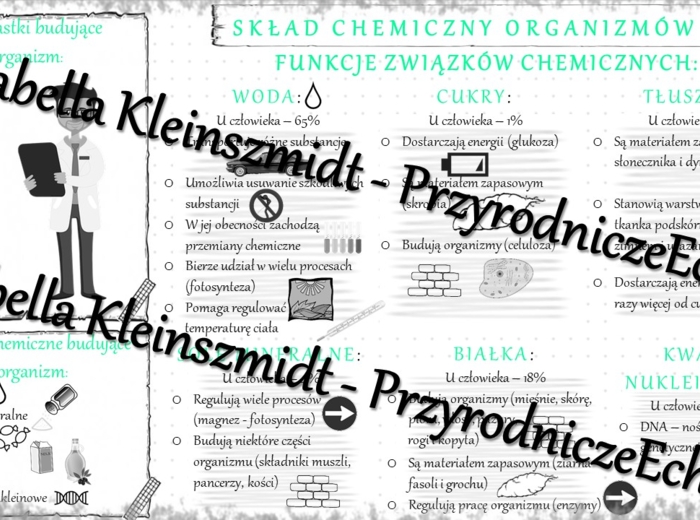 Sketchnotka - notatka „SKŁAD CHEMICZNY ORGANIZMÓW” wykonana w power point do edycji. Biologia 5; „Budowa i czynności życiowe organizmów”