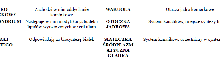 Organella komórkowe-domino
