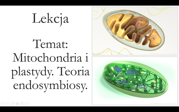 Liceum Klasa 1 ( rozszerzenie) - Mitochondria i plastydy. Teoria endosymbiozy. - prezentacja