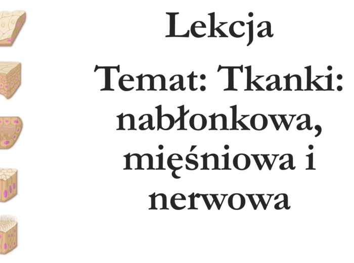Klasa 6 - Tkanki: nabłonkowa, mięśniowa, nerwowa - prezentacja