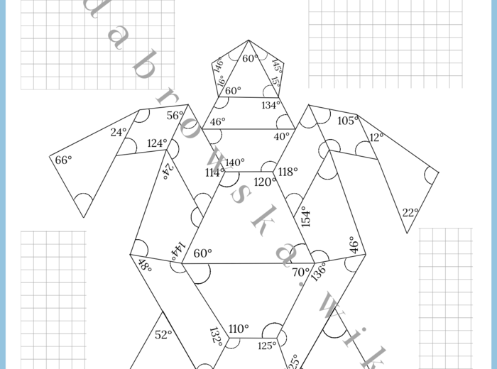 Miary kątów w trójkątach i czworokątach - żółwik