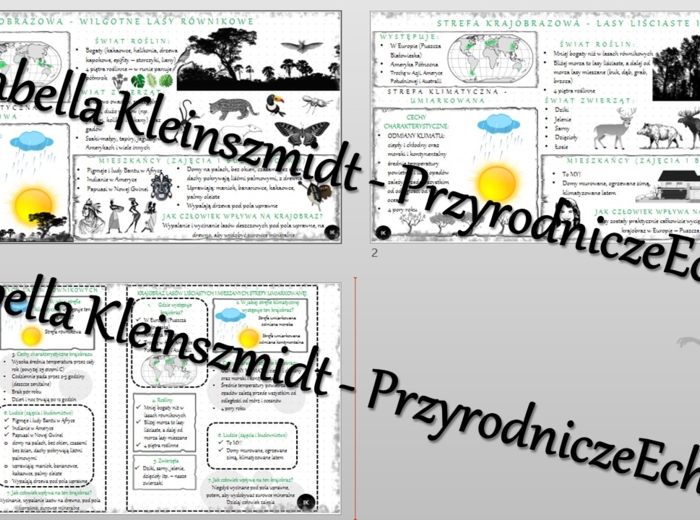 Sketchnotka - notatka „ W wilgotnym lesie równikowym i lesie strefy umiarkowanej” wykonana w power point do edycji. Geografia 5; „Krajobrazy świata”