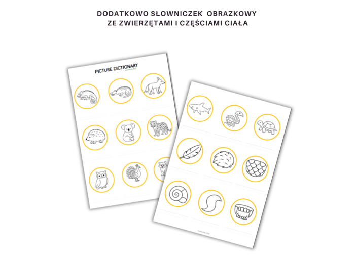 Kids Can 3 Unit 2 Klasa Trzecia Rodział Drugi Dodatkowe Zadania Ćwiczenia Powtórzenie Nazwy Zwierząt Części ciała zwierząt Karty Pracy