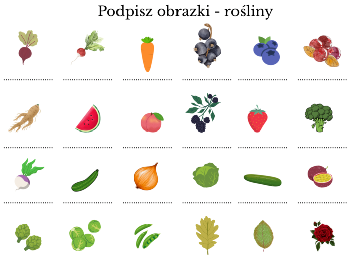 Rośliny - trudności ortograficzne