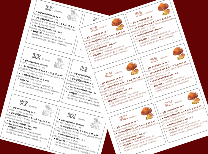 "RZ" - ZASADY ORTOGRAFICZNE - ortografia - WKLEJKA