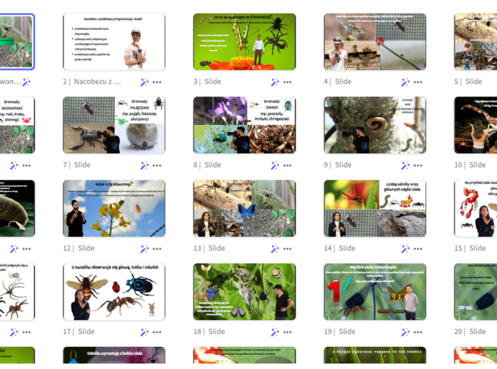 Prezentacja multimedialna w genial.ly „Cechy stawonogów” – do edycji i pobrania – biologia klasa VI, dział III – temat 1
