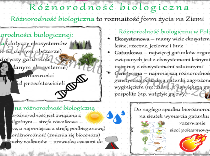 Sketchnotka „Różnorodność biologiczna”. Biologia klasa 8, dział IV „Człowiek i środowisko”