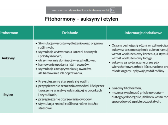 funkcjonowanie roślin KLASA 2 BIOLOGIA ROZSZERZONA