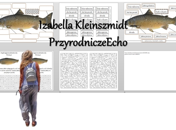 Materiał do zalaminowania/praca w grupach/puzzle/układanka/wykreślanka/labirynt. „Ryby – kręgowce środowisk wodnych” w pdf. Biologia 6, dział „Kręgowce zmiennocieplne”.