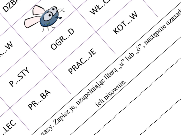 Gra ortograficzna MUCHA z ,,ó" i ,,u"