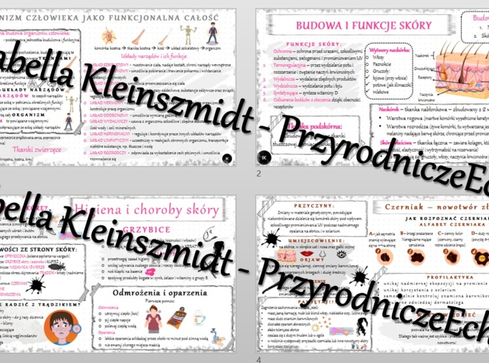 Zestaw sketchnotek – notatek do całego działu „Organizm człowieka. Skóra” wykonanych w power point do edycji. Biologia 7