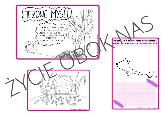 O JEŻU SŁÓW KILKA