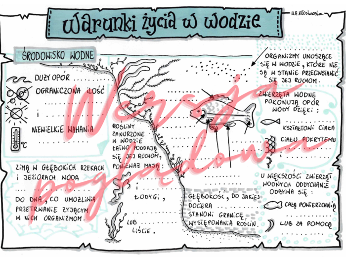 Warunki życia w wodzie -przyroda kl. 4