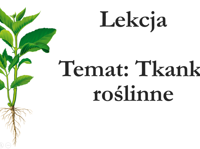 Klasa 5 - Tkanki roślinne - prezentacja
