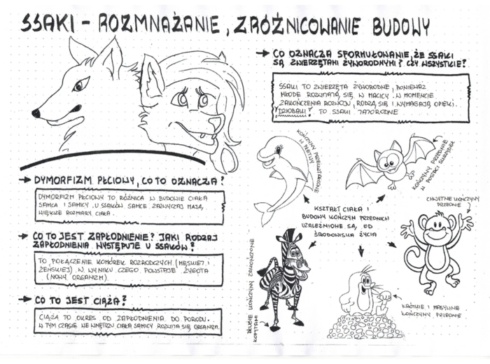 Ssaki - zróżnicowanie budowy ciała - klasa 6- sketchnotka