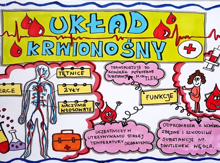 Klasa 4. Przyroda. Karta pracy. Układ krwionośny