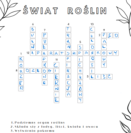 Krzyżówka- botanika, rośliny, organy, tkanki