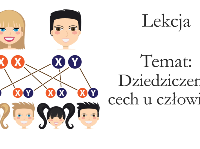 Klasa 8 - Dziedziczenie cech u człowieka - prezentacja