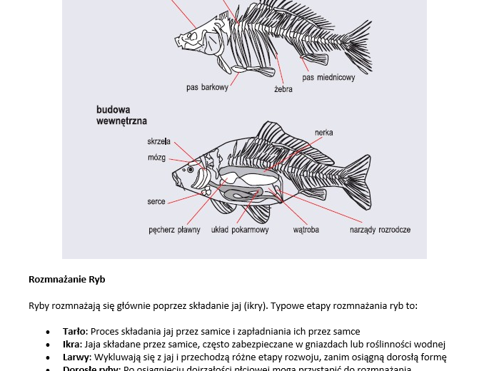 Konspekt i karta pracy