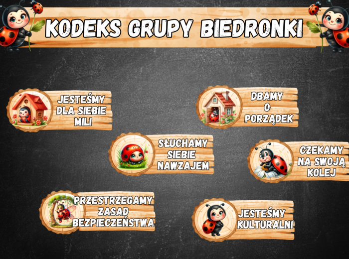 KODEKS GRUPY BIEDRONKI