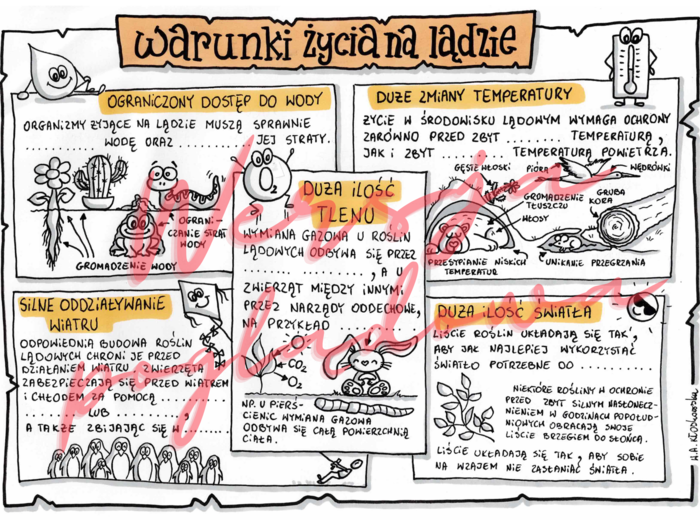 Warunki życia na lądzie -przyroda kl. 4